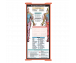 WhiteCoat Clipboard® Trifold - Coral Occupational Therapy Edition